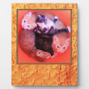 Search for contemporary plaques Stylish