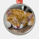 Search for sleeping cat ornaments Baby