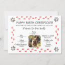 Search for puppies invitations Dogs