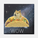 Search for meme magnets Space