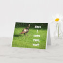Search for turkey birthday cards Co worker