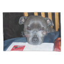Search for reading pillowcases Pets