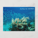 Search for diving horizontal postcards Fish
