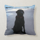 Search for black labrador pillows Animal