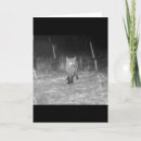 Search for fox cards Nature