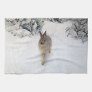 Recherche de hiver cuisine linges Chien