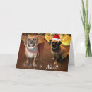 Search for puggle postcards Beagle