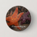 Search for 1 of colours buttons Beach
