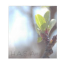 Recherche de ressorts photographie Arbre