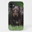 Search for dapple iphone cases Dachshund