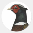 Search for game bird stickers Poultry
