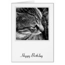 Search for black and white cat face cards Animal