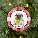 Search for checkereds ornaments Pet dog