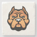 Search for pitbull coasters Pets