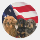 Recherche de teckel autocollants Doxie