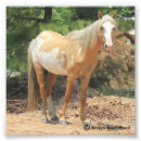 Search for mustang posters Paint