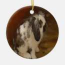Search for lop rabbit ornaments Animal