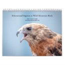 Search for mountain calendars Animal