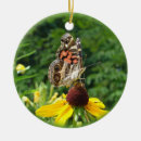Search for lady bug ornaments Animal