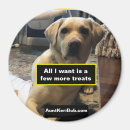 Search for or treat magnets Treats