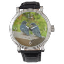 Recherche de grange montres Oiseau