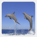 Search for swim art stickers Nature
