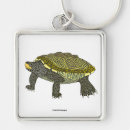 Search for terrapin keychains Wildlife