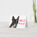 Search for boston terrier birthday Puppies