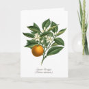 Search for florida orange blossom Elegant