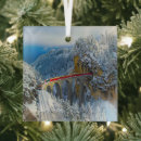 Search for landscaping ornaments Ice