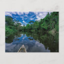 Search for peruvian amazon Woodland