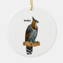 Search for hawk ornaments Eagle