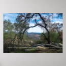 Search for henry david thoreau posters Nature