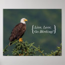 Search for regal posters Bald eagle