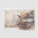 Search for best friend tissue paper Cute