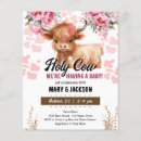 Search for cow baby shower Modern