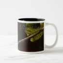 Search for guyana mugs Rain forest
