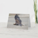 Search for flying eagle cards Golden