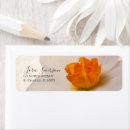 Search for narcissus return address labels Daffodils