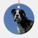Search for brindle boxer dog ornaments Headshot