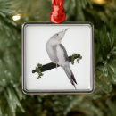 Search for cockatiel ornaments Nature