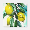 Search for lemon tree magnets Lemons