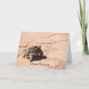 Search for tortoise cards Wild