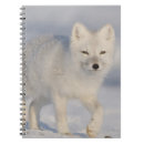 Search for environment notebooks Climate change