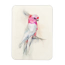 Search for birds rectangular magnets Tropical bird