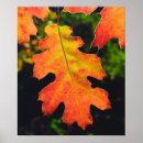 Recherche de danita delimont posters Country