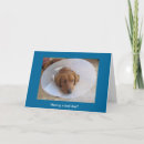 Search for golden retriever cards Goldens