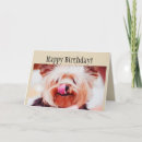 Recherche de yorkie birthday cards Drôle