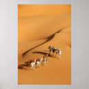 Recherche de dromadaire posters Désert