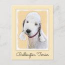 Search for bedlingtons cards invites Cute